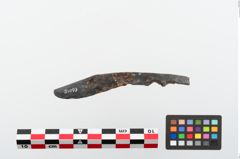 Foto von Eisengriffangelmesser (NHMW-PRAE-024093)